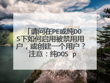 请问在PE或纯DOS下如何启用被禁用用户，或创建一个用户？ 注意：纯DOS pe win7