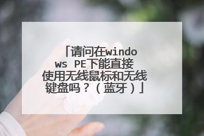 请问在windows PE下能直接使用无线鼠标和无线键盘吗?(蓝牙)