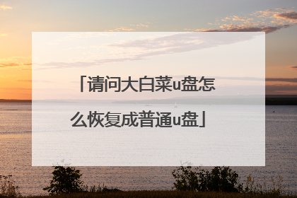 请问大白菜u盘怎么恢复成普通u盘