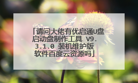 请问大佬有优启通U盘启动盘制作工具 V9.3.1.0 装机维护版软件百度云资源吗