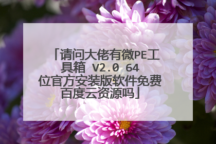 请问大佬有微PE工具箱 V2.0 64位官方安装版软件免费百度云资源吗