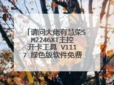 请问大佬有慧荣SM2246XT主控开卡工具 V1117 绿色版软件免费百度云资源吗