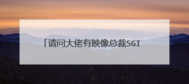 请问大佬有映像总裁SGI V4.8.99.0 PE修改版软件免费百度云资源吗