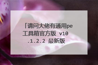 请问大佬有通用pe工具箱官方版 v10.1.2.2 最新版软件百度云资源吗
