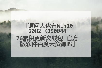 请问大佬有Win10 20H2 KB5004476累积更新离线包 官方版软件百度云资源吗