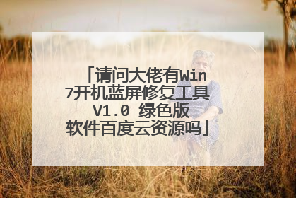 请问大佬有Win7开机蓝屏修复工具 V1.0 绿色版软件百度云资源吗