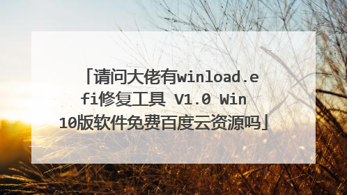 请问大佬有winload.efi修复工具 V1.0 Win10版软件免费百度云资源吗