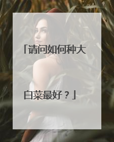 请问如何种大白菜最好?
