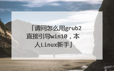 请问怎么用grub2直接引导win10,本人Linux新手