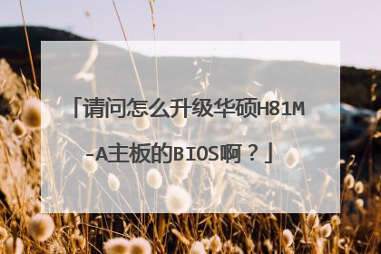 请问怎么升级华硕H81M-A主板的BIOS啊?