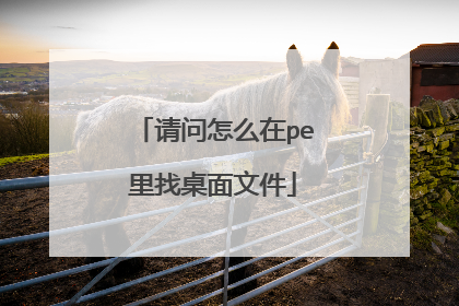 请问怎么在pe里找桌面文件
