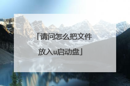 请问怎么把文件放入u启动盘