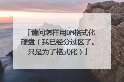 请问怎样用DM格式化硬盘(我已经分过区了。只是为了格式化)