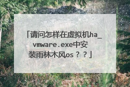 请问怎样在虚拟机ha_vmware.exe中安装雨林木风os??