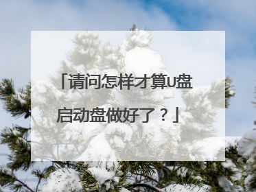 请问怎样才算U盘启动盘做好了?