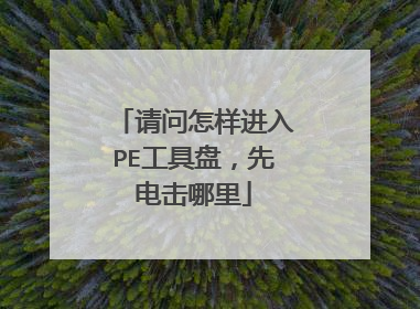 请问怎样进入PE工具盘，先电击哪里