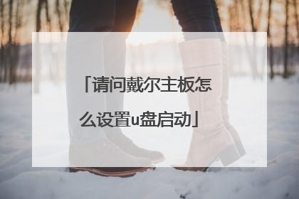 请问戴尔主板怎么设置u盘启动
