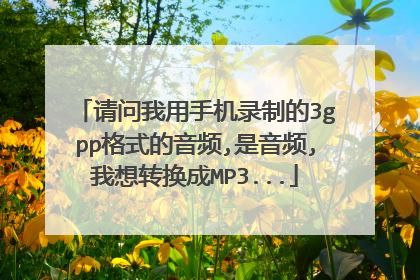 请问我用手机录制的3gpp格式的音频,是音频,我想转换成MP3...