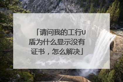 请问我的工行U盾为什么显示没有证书,怎么解决