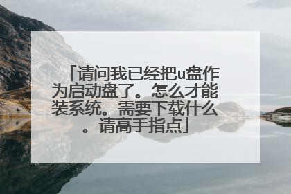 请问我已经把u盘作为启动盘了。怎么才能装系统。需要下载什么。请高手指点