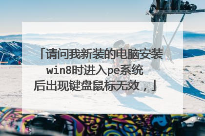 请问我新装的电脑安装win8时进入pe系统后出现键盘鼠标无效，