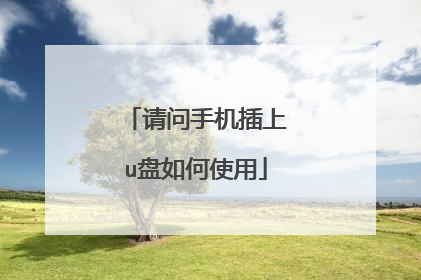 请问手机插上u盘如何使用