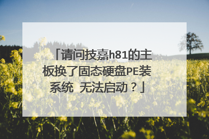 请问技嘉h81的主板换了固态硬盘PE装系统 无法启动？