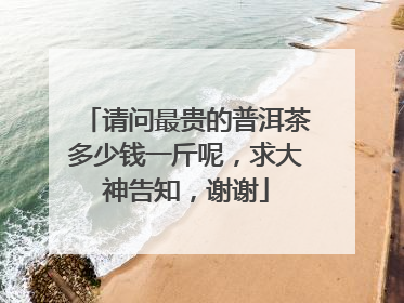 请问最贵的普洱茶多少钱一斤呢,求大神告知,谢谢