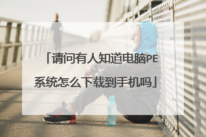 请问有人知道电脑PE系统怎么下载到手机吗