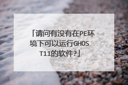 请问有没有在PE环境下可以运行GHOST11的软件?