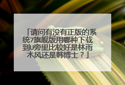 请问有没有正版的系统7旗舰版用哪种下载到U旁里比较好是林雨木风还是韩博士?