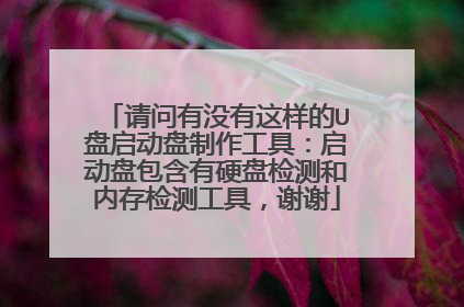 请问有没有这样的U盘启动盘制作工具：启动盘包含有硬盘检测和内存检测工具，谢谢
