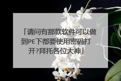 请问有那款软件可以做到PE下都要使用密码打开?拜托各位大神