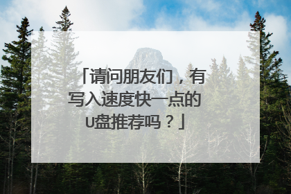 请问朋友们,有写入速度快一点的U盘推荐吗?