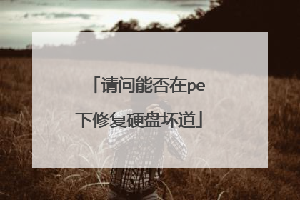 请问能否在pe下修复硬盘坏道