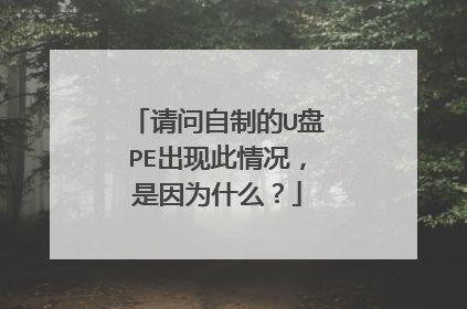 请问自制的U盘PE出现此情况，是因为什么？