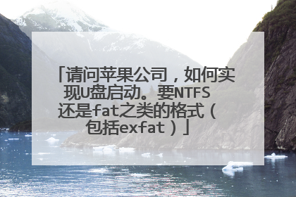请问苹果公司,如何实现U盘启动。要NTFS还是fat之类的格式(包括exfat)