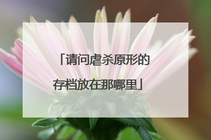请问虐杀原形的存档放在那哪里