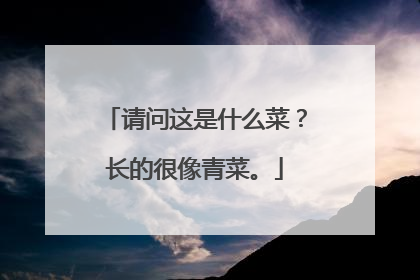 请问这是什么菜？长的很像青菜。