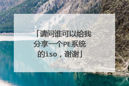 请问谁可以给我分享一个PE系统的iso，谢谢