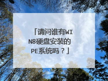 请问谁有WIN8硬盘安装的PE系统吗？