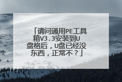 请问通用PE工具箱V3.3安装到U盘格后，U盘已经没东西，正常不？