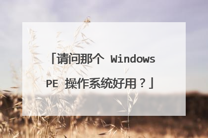 请问那个 Windows PE 操作系统好用?