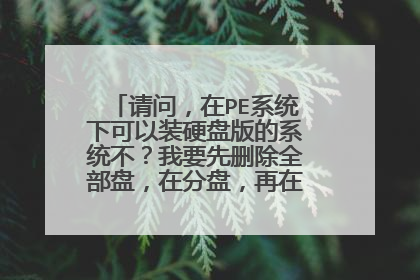 请问，在PE系统下可以装硬盘版的系统不？我要先删除全部盘，在分盘，再在PE 下安装硬盘版的系统，可以不？