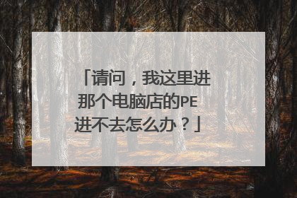 请问,我这里进那个电脑店的PE进不去怎么办?