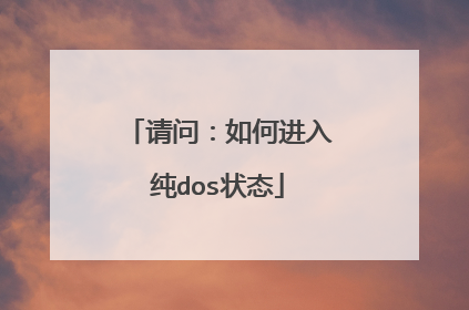 请问:如何进入纯dos状态
