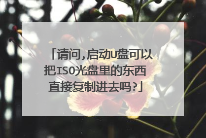 请问,启动U盘可以把ISO光盘里的东西直接复制进去吗?