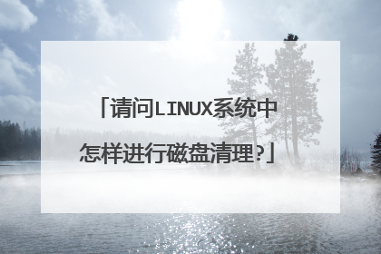 请问LINUX系统中怎样进行磁盘清理?