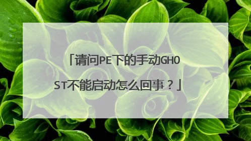 请问PE下的手动GHOST不能启动怎么回事？