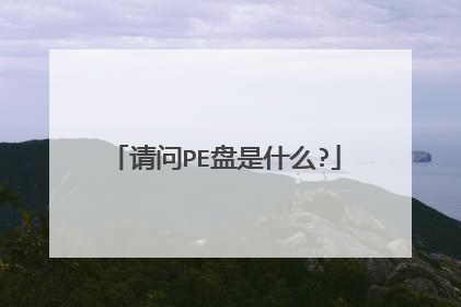 请问PE盘是什么?